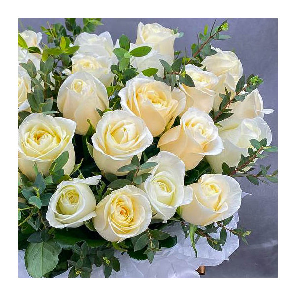 Белые розы картинки красивые сверкающие